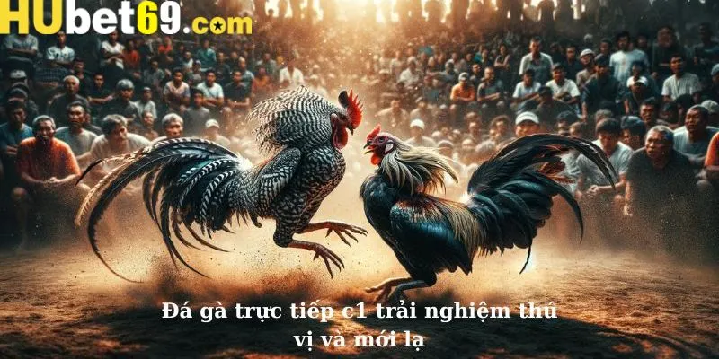 Đôi nét về loại hình đá gà cúp C1 mới nhất
